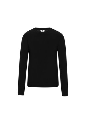 Sort langærmet sweater med rund halsudskæring, lavet af et glat stof. Minimalistisk design, ensfarvet, ingen mønstre eller udsmykninger.
