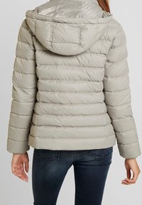 Tommy Jeans Dunjacka - light grey