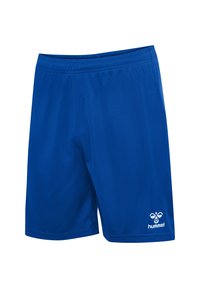 Blå sportshorts gjorda av mjukt tyg med elastisk midja, med vit logotyp på nedre vänstra sidan.