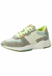 camel active Sneaker low - multi green