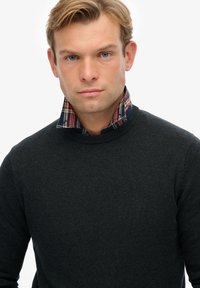 Homme blond aux yeux bleus portant un pull gris foncé par-dessus une chemise à carreaux à col, faisant face à l'avant sur un fond blanc.