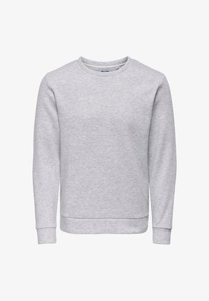 Hellgraues Sweatshirt mit Rundhalsausschnitt, langen Ärmeln, gerippten Bündchen und Saum, präsentiert vor weißem Hintergrund.