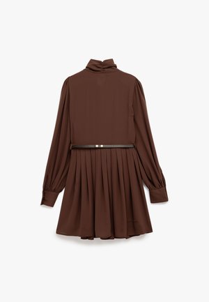 Bruine jurk met lange mouwen en een hoge kraag, geplooide rok en een donkere riem als accent. Gemaakt van gladde stof, met omslagmouwen.