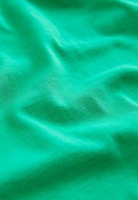 Next WICKED LOGO SKATER GRAPHIC - Langærmet T-shirt - green
