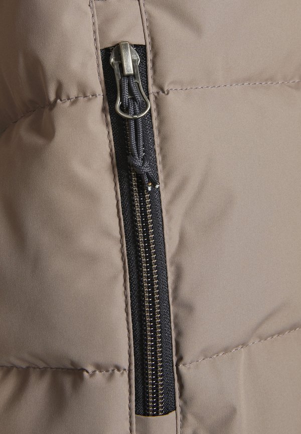 COJACKET - Winter jacket - fossil3