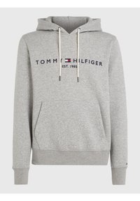 Grå hoodie i bomullsmix med framficka, dragsko i huvan och broderad logotext i marinblått och rött över bröstet.