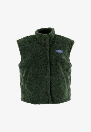 Gilet boutonné en peluche vert foncé avec un col montant et des poches latérales, arborant une petite patch rectangulaire sur la poitrine gauche.