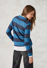 Blau- und marineblau gestreifter Pullover aus strukturiertem Stoff, mit langen Ärmel und Kragen, über einem weißen Hemd getragen. Schwarze Jeans sind sichtbar.