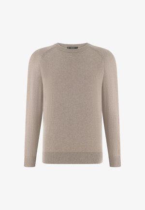 Pánský béžový svetr s kulatým výstřihem, dlouhými rukávy, žebrovanými manžetami a lemem, zobrazený na bílém pozadí.