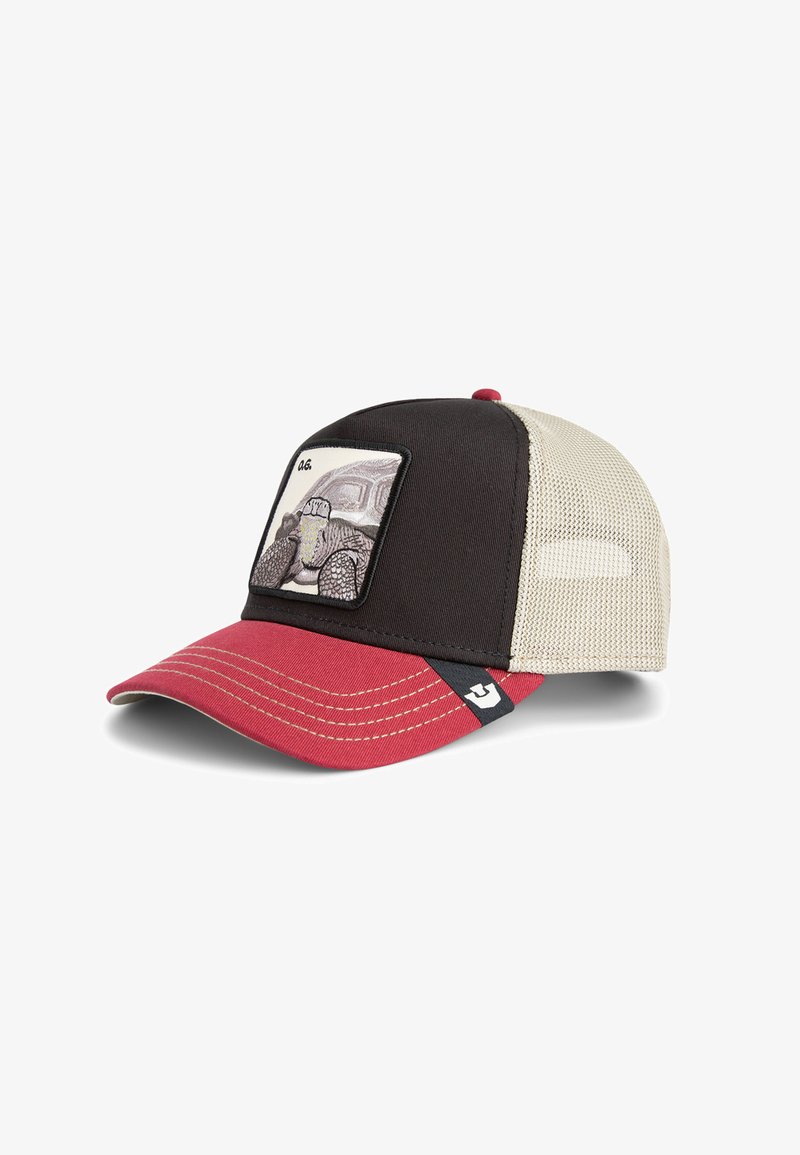 Baseball cap with a black front, red visor, and beige mesh sides. Features a square patch with a turtle graphic in gray tones.