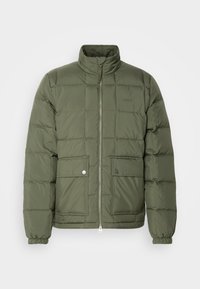 JACKET - Piumino - dark earthy green
