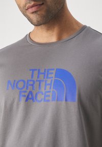 The North Face EASY TEE - Camiseta estampada - smoked pearl