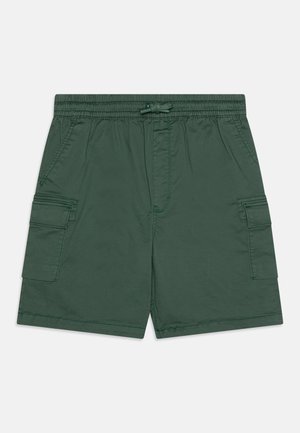 Shorts cargo verts avec une ceinture élastique, fermeture à cordon, poches latérales et poches plaquées sur les côtés. Tissu texturé.