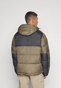 Columbia PIKE LAKE™ HOODED - Giacca invernale - stone green/shark