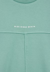 Mėtų žalios spalvos audinys su centrine siūle ir baltu užrašu "BLUE RIDGE DENIM" viršutiniame vidiniame plote.