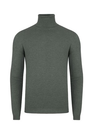 Zielony sweter z golfem wykonany z miękkiej dzianiny, z długimi rękawami i dopasowanym krojem, z prążkowanym dekoltem i mankietami.