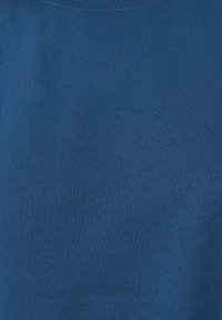 Tessuto di cotone blu con una trama liscia. Presenta un design semplice e un classico colletto rotondo. Uniformemente colorato, senza motivi o dettagli.