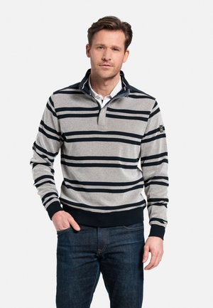 Grijze pullover met marineblauwe strepen, ritskraag en geribde mouwen. Lichtgewicht stof met een gladde textuur. Gedragen over een wit shirt.
