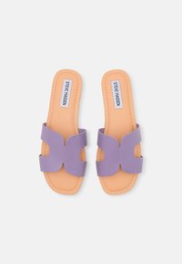 Steve Madden ZARNIA - Mulas - purple