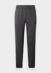 TRAIN CORE PANTS - Tracksuit bottoms - asphalt
