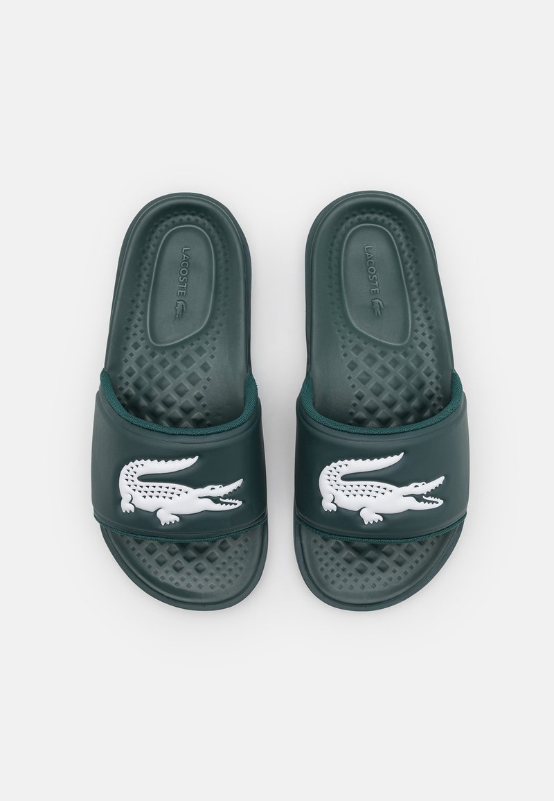 croco dualiste