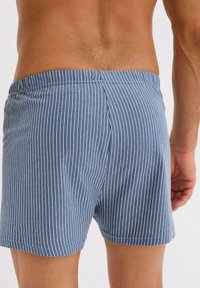 Uomo che indossa boxer a strisce verticali blu e bianche, mostrato di spalle, con il torso nudo e parte del braccio destro visibile.