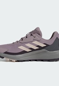 Adidas Terrex ANYLANDER - Trail running shoes - preloved fig   putty mauve   aurora black