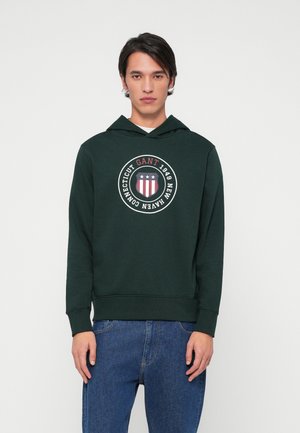 GRAPHIC HOODIE - Camisola - green