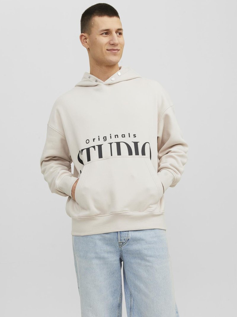 Jack & Jones JORVESTERBRO BACK HOOD - Sweatshirt - moonbeam