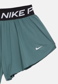 Πράσινα αθλητικά σορτς Nike με μαύρη ζώνη που διαθέτει το κείμενο "NIKE" και το λογότυπο σούσι σε λευκό χρώμα στο κάτω δεξί μέρος του ποδιού.