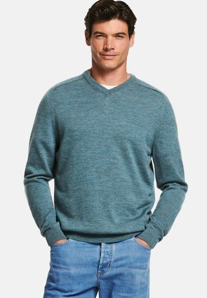 V-NECK - Trui - Astons