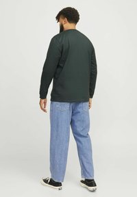 Jack & Jones GEDRUCKT  - Ilgarankovis viršutinės dalies drabužis - forest river