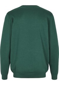 Zielony sweter z dzianiny z okrągłym kołnierzem, ściągaczami na mankietach i u dołu oraz gładką fakturą, o jednolitym kolorze bez wzorów i zdobień.