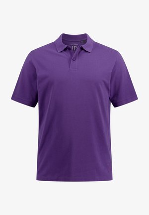 JP1880, Poloshirt - prune