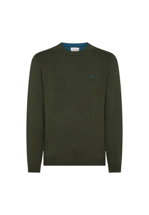 Dunkelgrüner Strickpullover, Rundhalsausschnitt, gerippte Bündchen und Saum, mit einem kleinen blauen Logo auf der Brust. Weiche Textur, klassischer Schnitt.