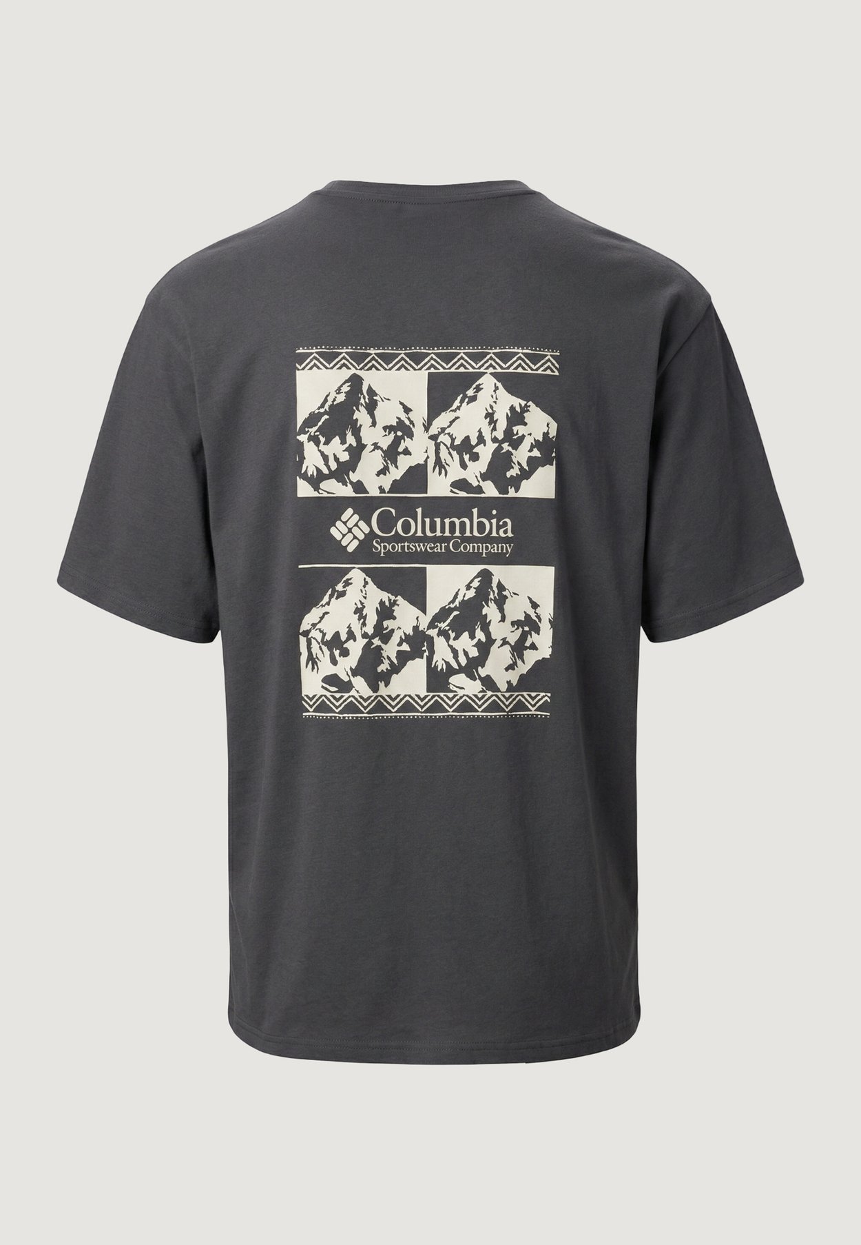 CSC™ HEAVYWEIGHT ICONIC TEE 2155061