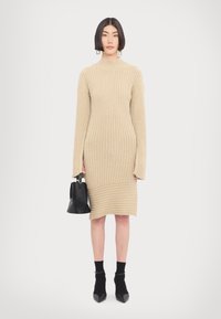 Bežinė siaura megzta suknelė su aukštu kaklu ir pailgintomis rankovėmis, kurioje hemline yra su įvairiomis raštuoto megztinio juostomis. Juoda rankinė ir smailiavasiai aukštakulniai.