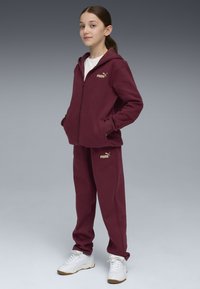 Felpa maroon con cappuccio e cerniera, dotata di un logo dorato. Abbinata a pantaloni maroon e sneakers bianche con dettagli dorati. Texture liscia.