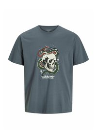 Grå bomulds t-shirt med et centralt grafik af et kranium, der er snoet med en slange, fremhævet af stjerner og tekst nederst.