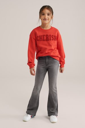 WE Fashion, BLUE RIDGE - Jean flare - grey