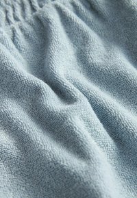 Next REGULAR FIT - Lühikesed püksid - blue