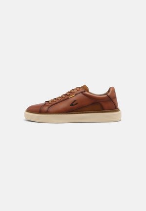 camel active, AVON - Sneaker low - cognac