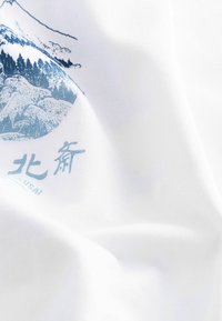 Next HOKUSAI THE GREAT WAVE LICENSE STANDARD - Nyomott mintás póló - white hokusai mountain