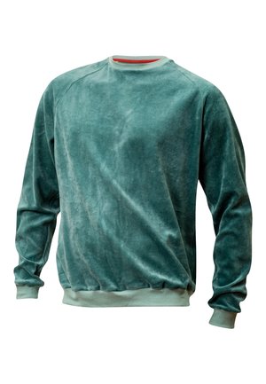 Sanftes samtiges Sweatshirt in Teal-Grün mit Rundhalsausschnitt, langen Ärmeln und gerippten Bündchen und Saum.