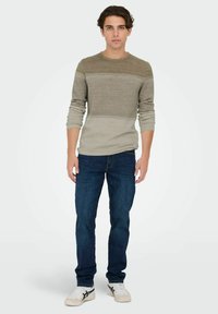 Only & Sons ONSPANTER  - Strickpullover - chinchilla
