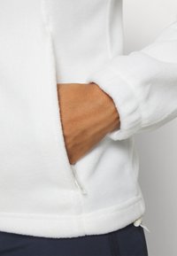 Columbia BENTON SPRINGS™ FULL ZIP - Veste polaire - sea salt