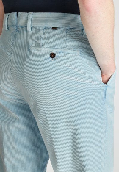 Lichtblauwe corduroybroek met verticale strepen, een achterzak met knoopsluiting en een soepele stofstructuur.