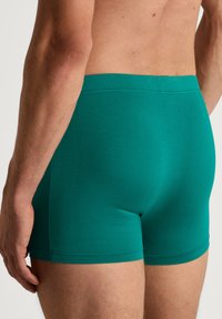 Groene katoenen boxershorts met een gladde textuur, een aansluitend ontwerp en een zachte tailleband. Zijkantweergave die de beenlengte en stiksels toont.