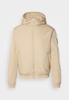 PADDED HOODED HARRINGTON - Casaco leve - pale khaki