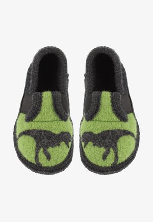 Wollen pantoffels met een zwarte dinosaurussilhouet op een felgroene voorkant. Het ontwerp heeft een grijze vilten body en elastische zijkanten.